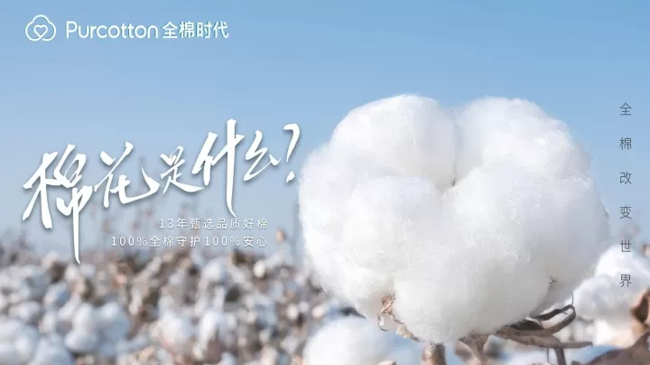 棉花期货用的是哪种棉花(棉花期货是皮棉还是籽棉)