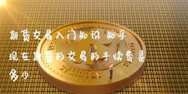100手期货多少手续费(期货100手能瞬间成交吗)