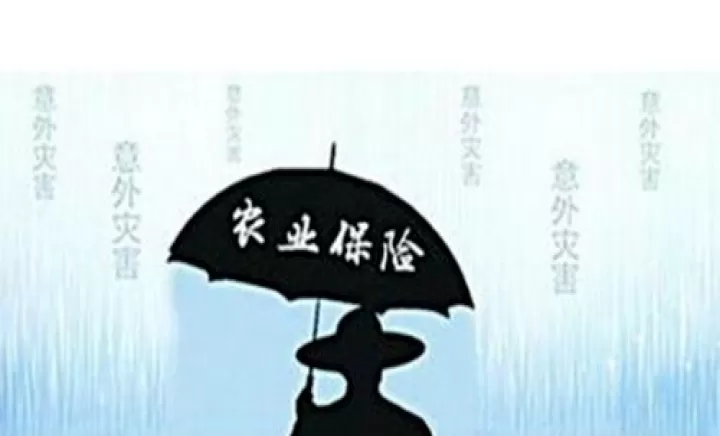 什么是农业保险加期货(什么是农业保险加期货基金)