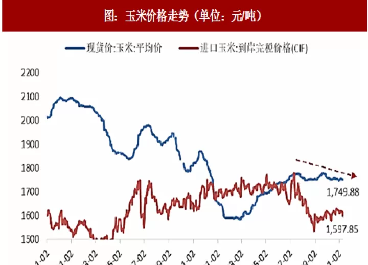 玉米期货行情的走势图(玉米期货实时行情走势图)