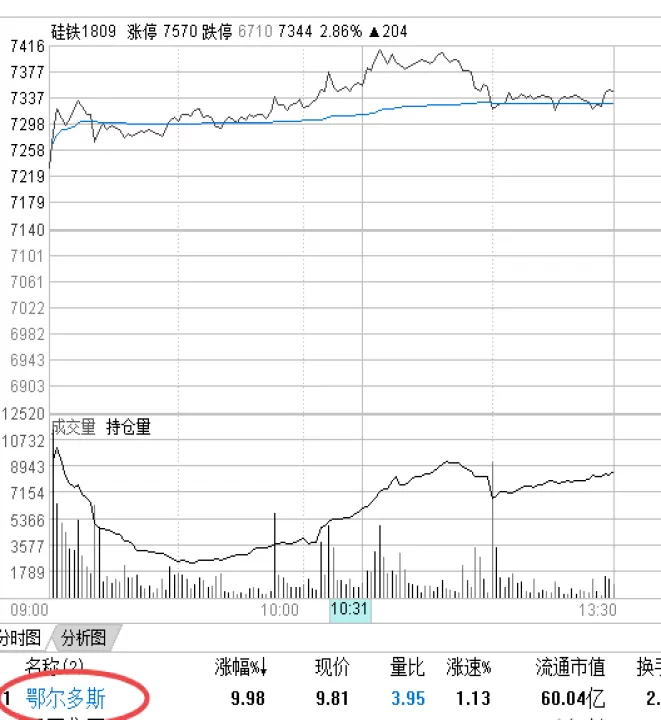 硅铁期货涨停提保(硅铁期货涨停规则)