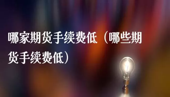 期货交易手续费哪一家最低(期货那个手续费低)