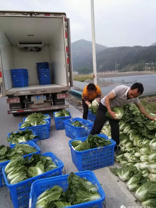 网上买的农产品期货(网上买的农产品期货怎么交易)