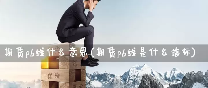 期货pb1指标详解(期货pb线是什么指标)