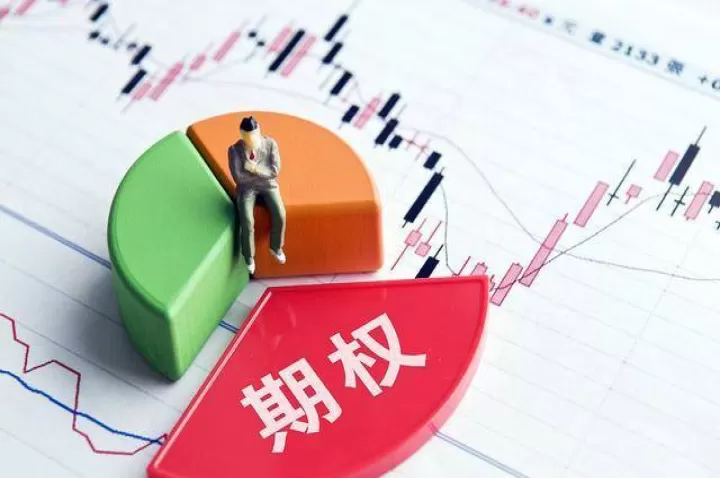 股权期货的股票的区别(股权与期权股是一个意思吗)