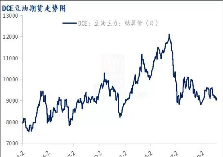 油脂期货交易市场在哪里(油脂期货是什么品种)