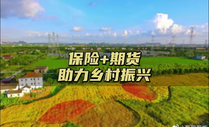 玉米保险期货十农户(玉米期货保险标准)