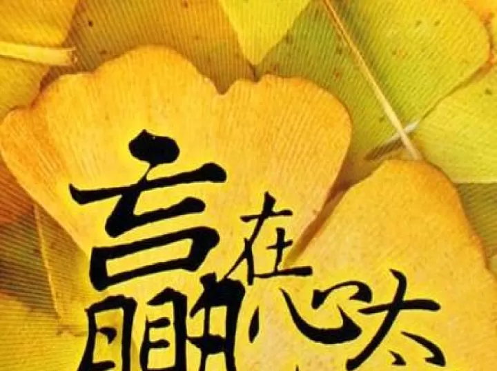棉花期货的心得(棉花期货的意义)