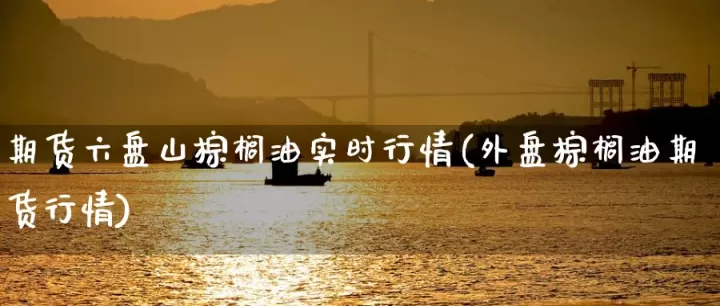大连棕榈油期货行情(棕榈油期货行情409)