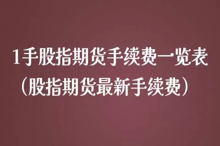 股指期货1手1点(股指期货1手是什么意思)