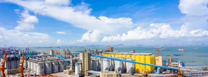 石油期货交割什么区别(石油期货交割时间)