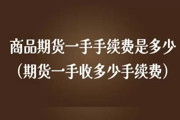 期货里多少手算大单(期货多少算一手)