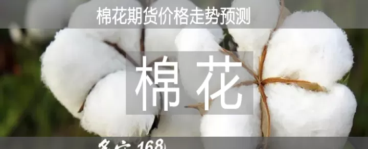 棉花109期货行情(棉花期货行情实时)