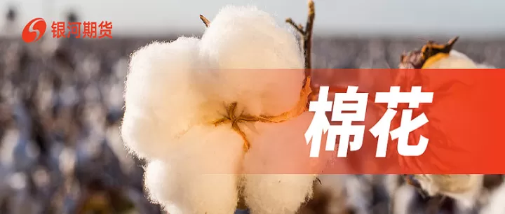 棉花期货涨多少算涨停(棉花期货涨利好还是利空)