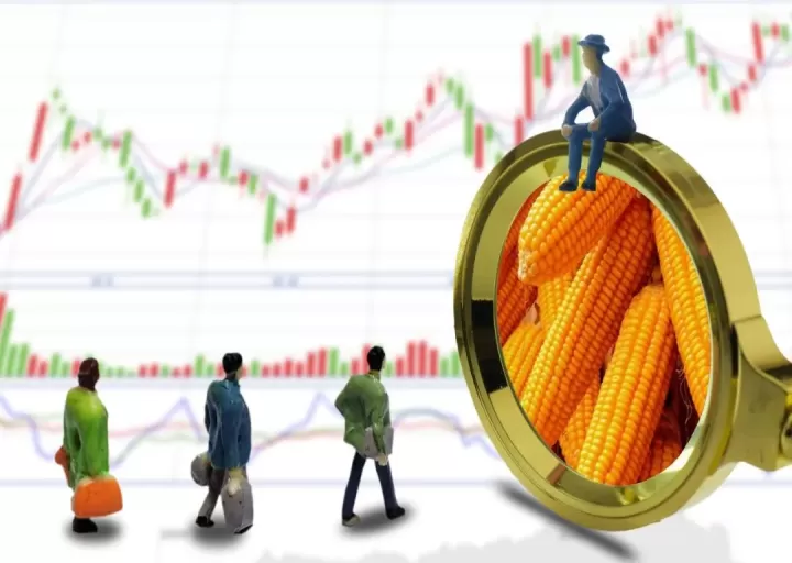 玉米加工企业如何运用期货(玉米加工企业如何运用期货交易)