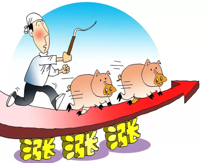 生猪期货种类大全(生猪期货有哪些)_纳指直播_第1张_宇龙理财网 生猪期货种类大全(生猪期货有哪些)_https://www.dglong8.com_纳指直播_第1张