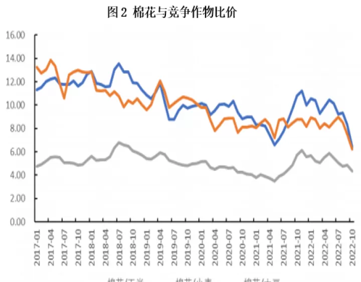 棉花期货2205可以涨吗(棉花期货2105的意思)