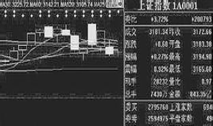 沪深300期货的合约乘数(沪深300股指期货合约的合约标的)