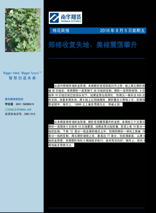 机构郑棉期货反弹动力不足(郑棉期货怎么看)