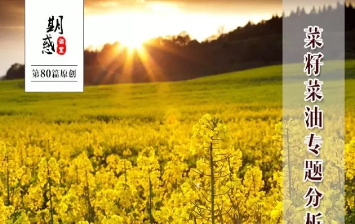期货菜油111是什么意思(菜油期货交易代码)