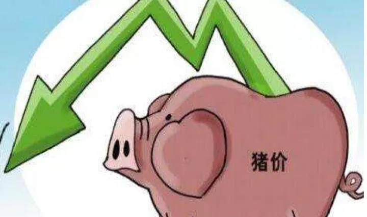生猪期货交易过夜手续费多少(生猪期货可以持有半年吗)