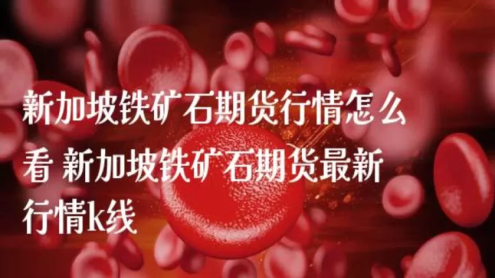 新加坡铁矿石期货最新价哪里看的出(新加坡铁矿石期货今日价格)