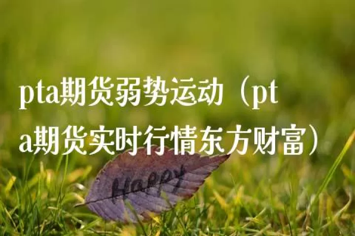 pta期货弱势行情有望延续(pta期货为什么一直跌)