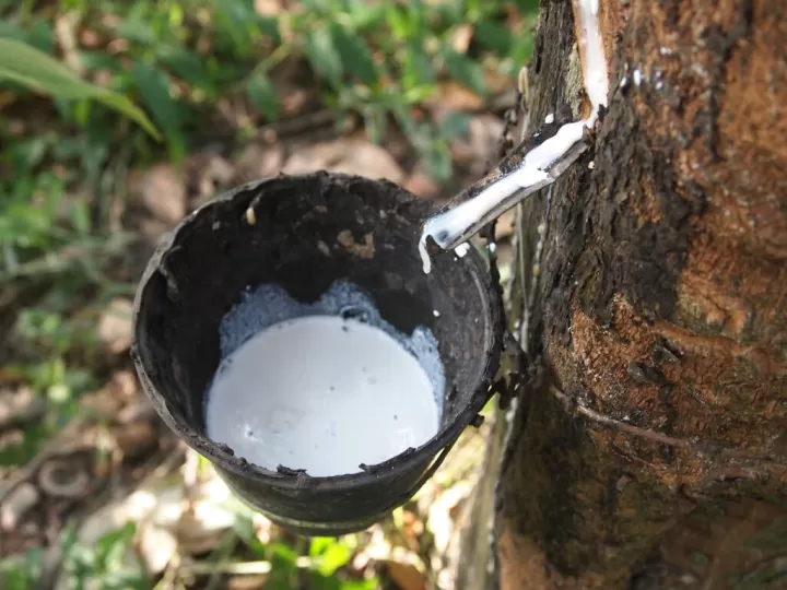 做橡胶期货恐怖吗(橡胶期货相关产品)