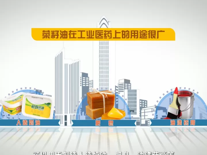 期货多少个品种(期货做几个品种才合适)