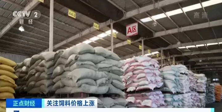 豆粕菜粕大涨什么期货品种会跟涨(豆粕菜粕期货哪个好做)
