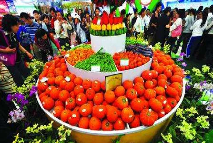 农业贸易方面的商品期货(农产品期货在农业生产中发挥的作用)