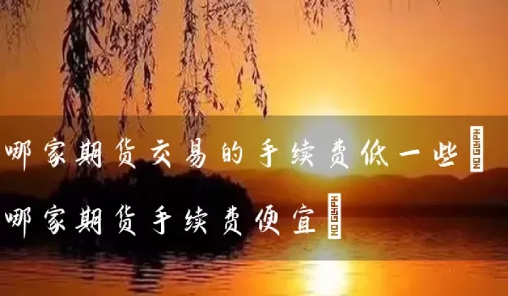 天津哪家期货手续费低(天津期货手续费)