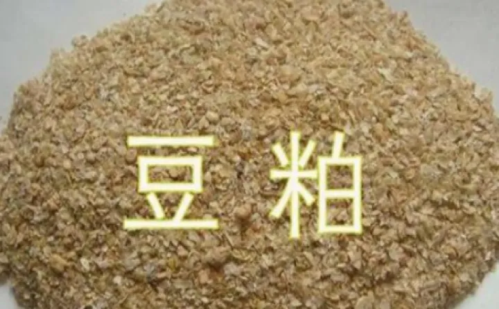 豆粕期货不平仓有手续费吗(豆粕期货手续费怎么计算)