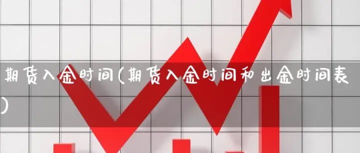 新湖期货出入金流程(新湖期货出金时间)