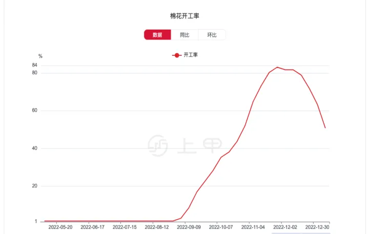 棉花期货主力合约午后大涨超4(棉花期货合约交割日)