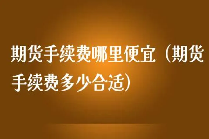 恒指期货手续费一般多少(恒指期货手续费便宜的)