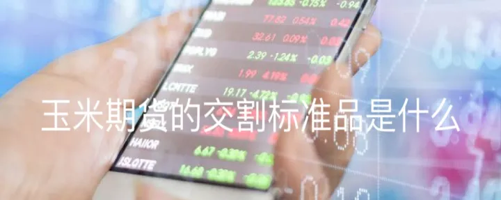 股指期货交割解读(股指期货交割的是什么)