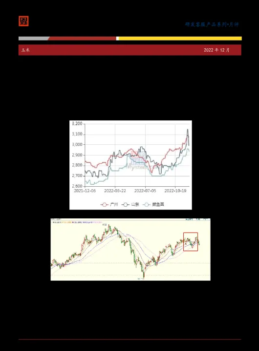 12月玉米期货初步收跌6美分(玉米期货市场的实时直播分析)