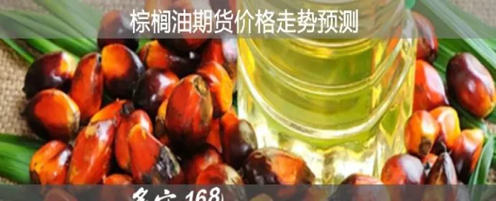 棕油期货涨了吗（棕榈油期货涨跌幅限制）