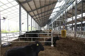 阳信牛肉期货(阳信牛肉期货实时行情)_恒生指数_第1张_宇龙理财网 阳信牛肉期货(阳信牛肉期货实时行情)_https://www.dglong8.com_恒生指数_第1张