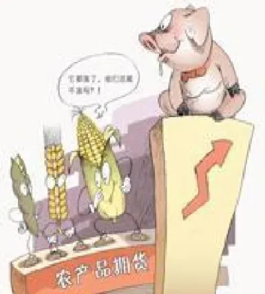 晚籼稻或成农产品期货领头羊(晚籼稻期货质量标准)
