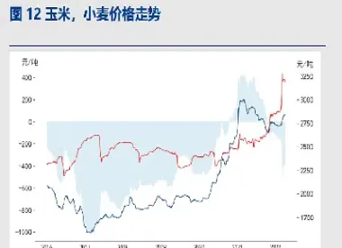小麦期货报告(小麦期货报告分析)