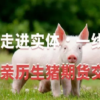 你如何看待生猪期货的走势(你如何看待生猪期货的走势呢)