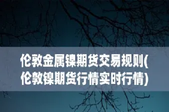 伦敦金属期货价格普涨(伦敦金属期货价格普涨原因)