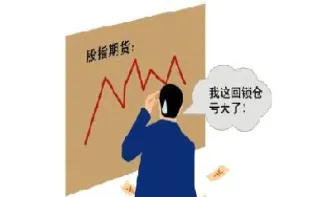 增持期货和期权净空仓是什么意思(增持期货和期权净空仓是什么意思啊)