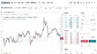 青岛 期货合约(青岛期货交易)