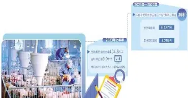 生猪期货推迟上市(生猪期货推迟上市的原因)_期货行情_第1张_宇龙理财网 生猪期货推迟上市(生猪期货推迟上市的原因)_https://www.dglong8.com_期货行情_第1张