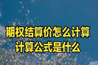 期货中的当日结算价是什么(期货中的当日结算价是什么意思)
