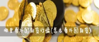 外国期货有没有硅铁(外国期货有没有硅铁交易)