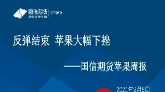 期货怎样算反弹结束(期货怎样算反弹结束交易)